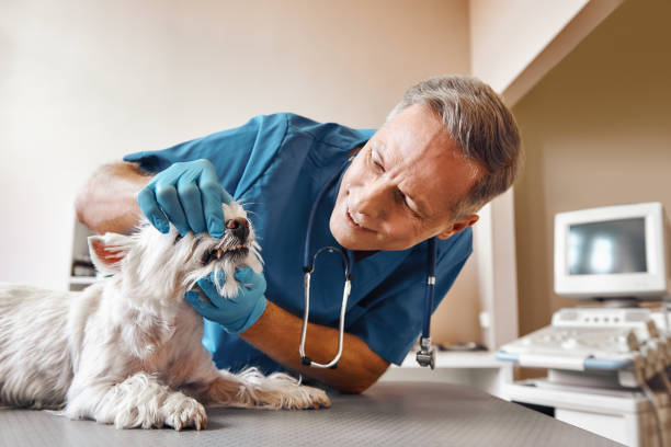 Best Emergency Tooth Extraction in Brookhaven, GA